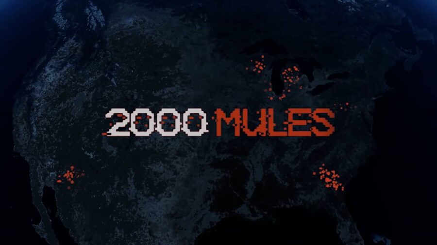 2000 Mules