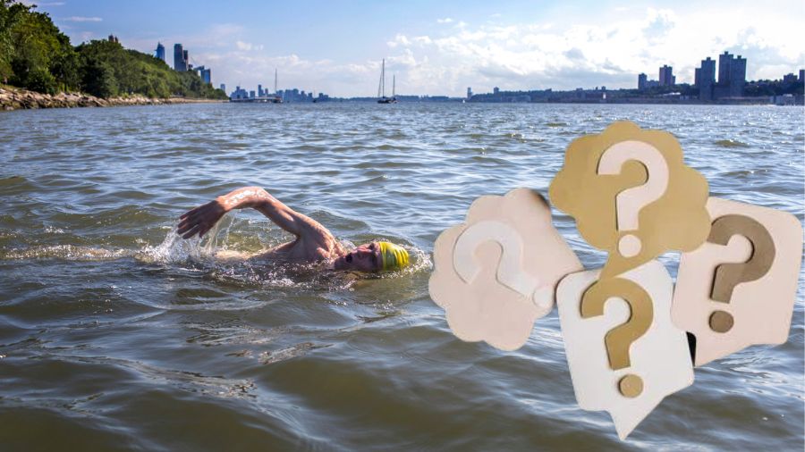 Can You Swim in the Hudson River