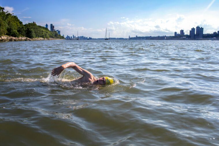 swim in hudson river