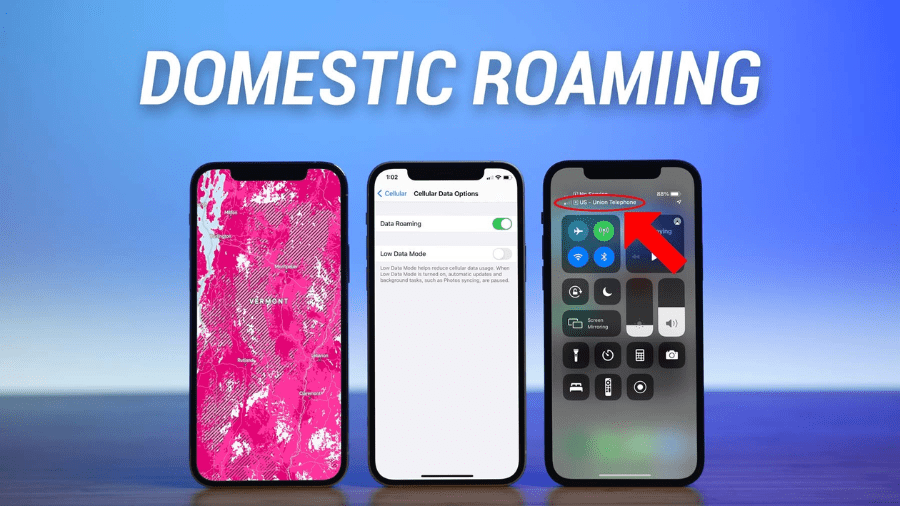 Domestic Roaming