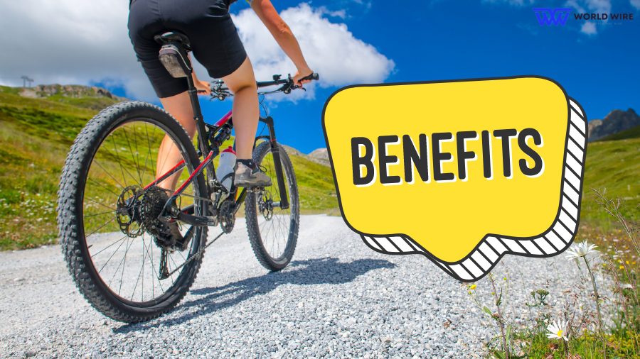 Benefits Of Free E-Bike From Government