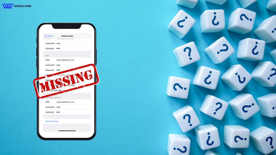 Reasons Why APN Settings Might Be Missing