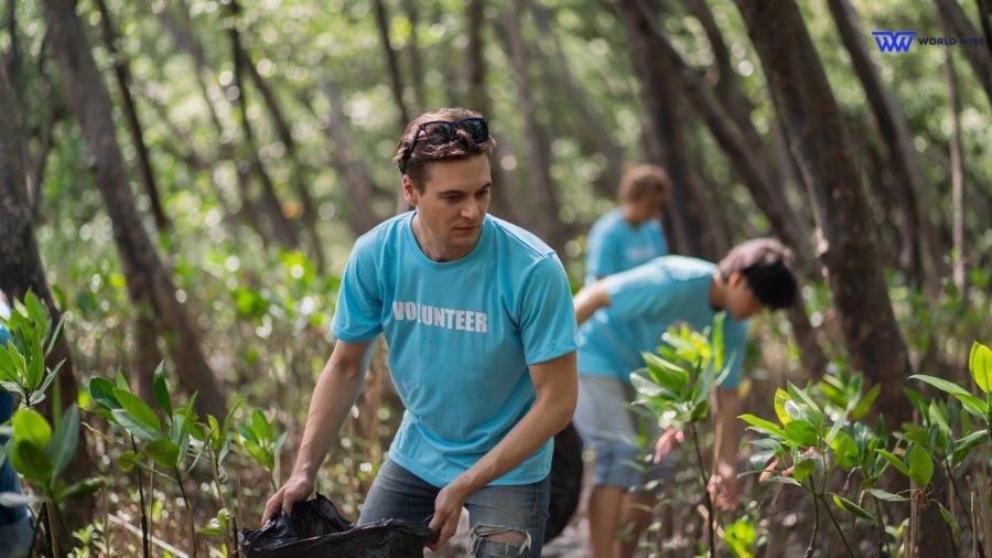 How Do I Volunteer Yard Work For Seniors Near Me