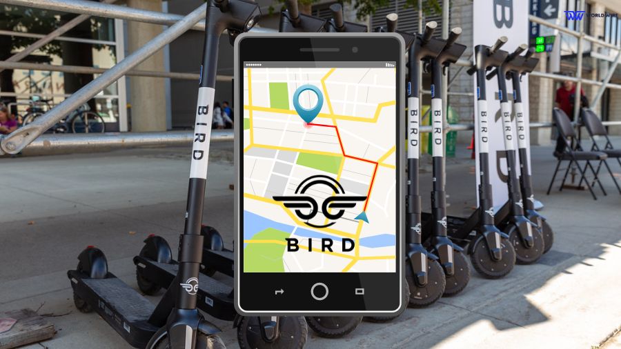 Do Bird Electric Scooters Have GPS