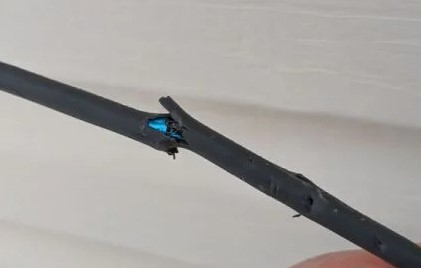 Starlink Cable Repair